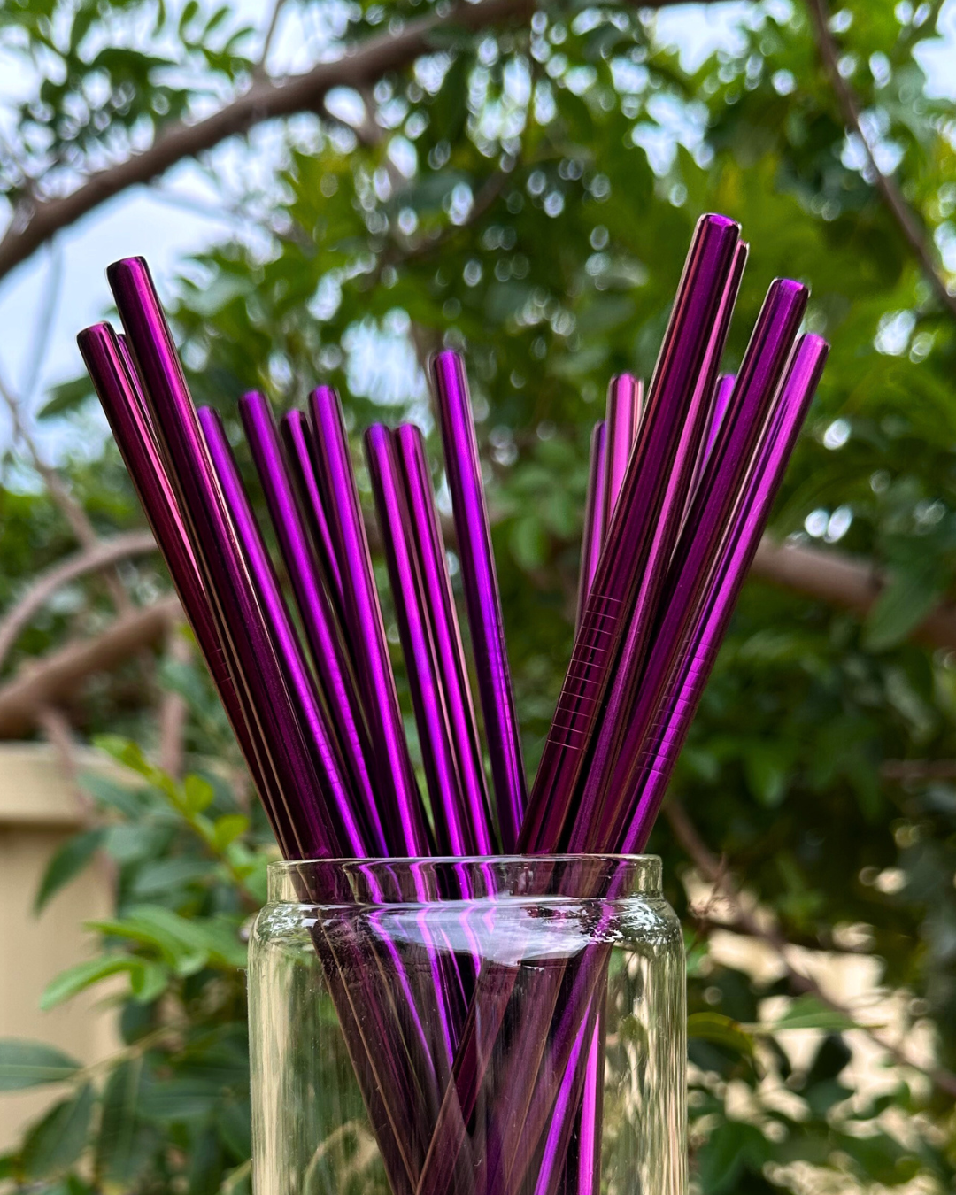 Purple Stainless Steel Straw