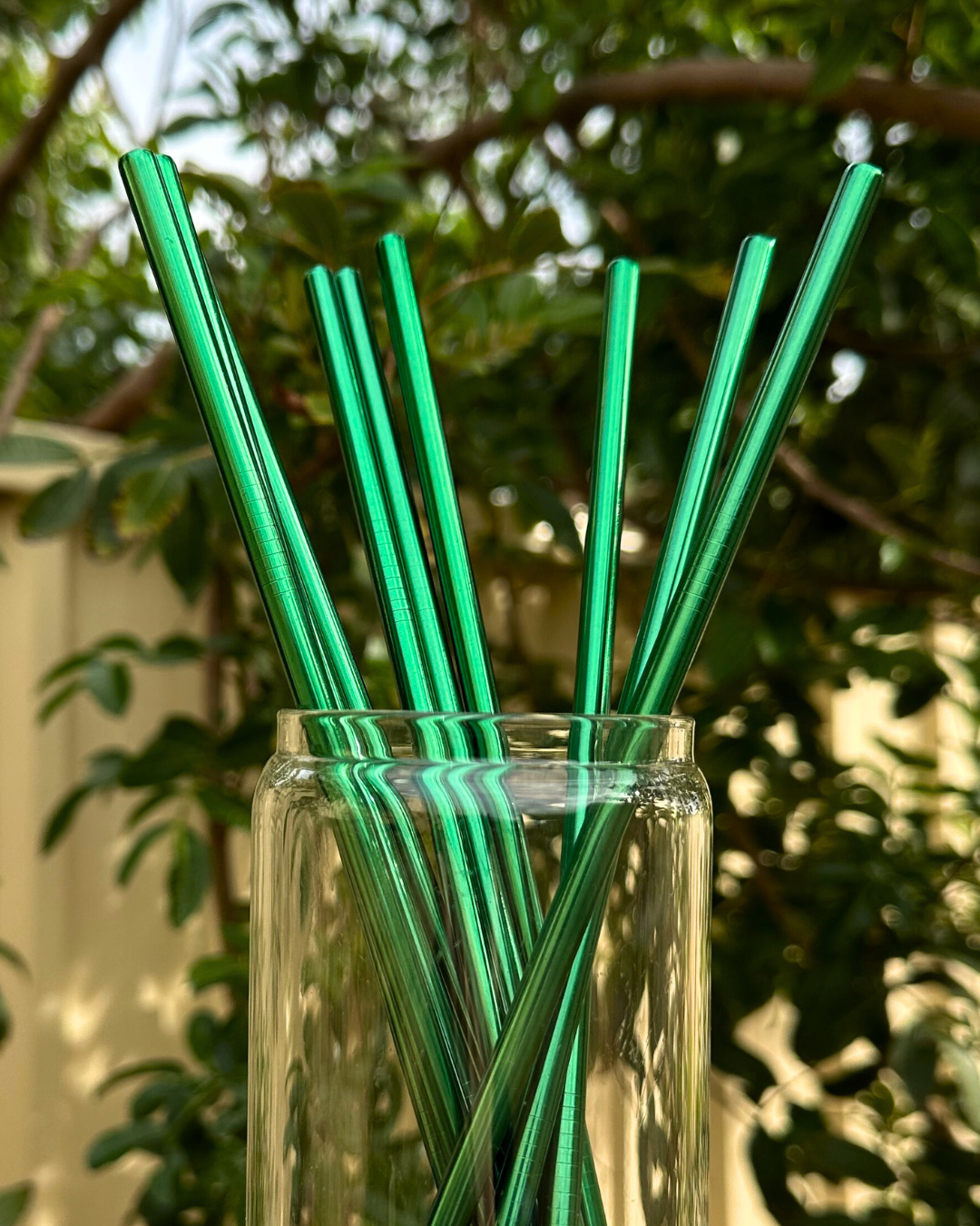 Green Stainless Steel Straw